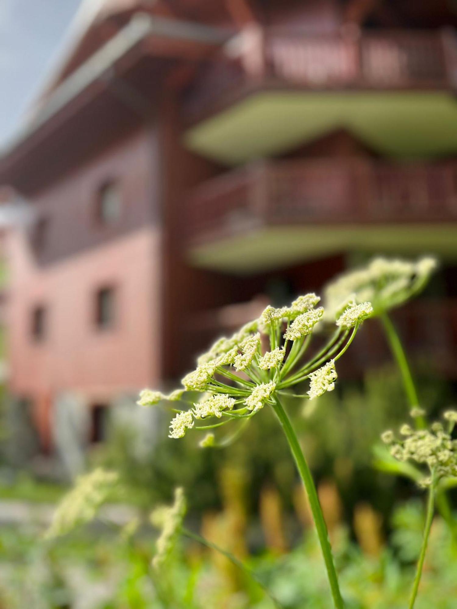 Appartments In Tignes Ecrin Des Neiges Exterior foto